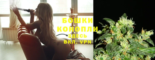 МДПВ Дмитров