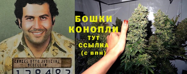 МДПВ Дмитров