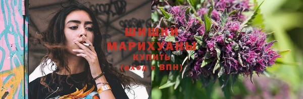 МДПВ Дмитров