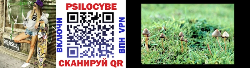 Псилоцибиновые грибы Magic Shrooms  Купить  Евпатория 